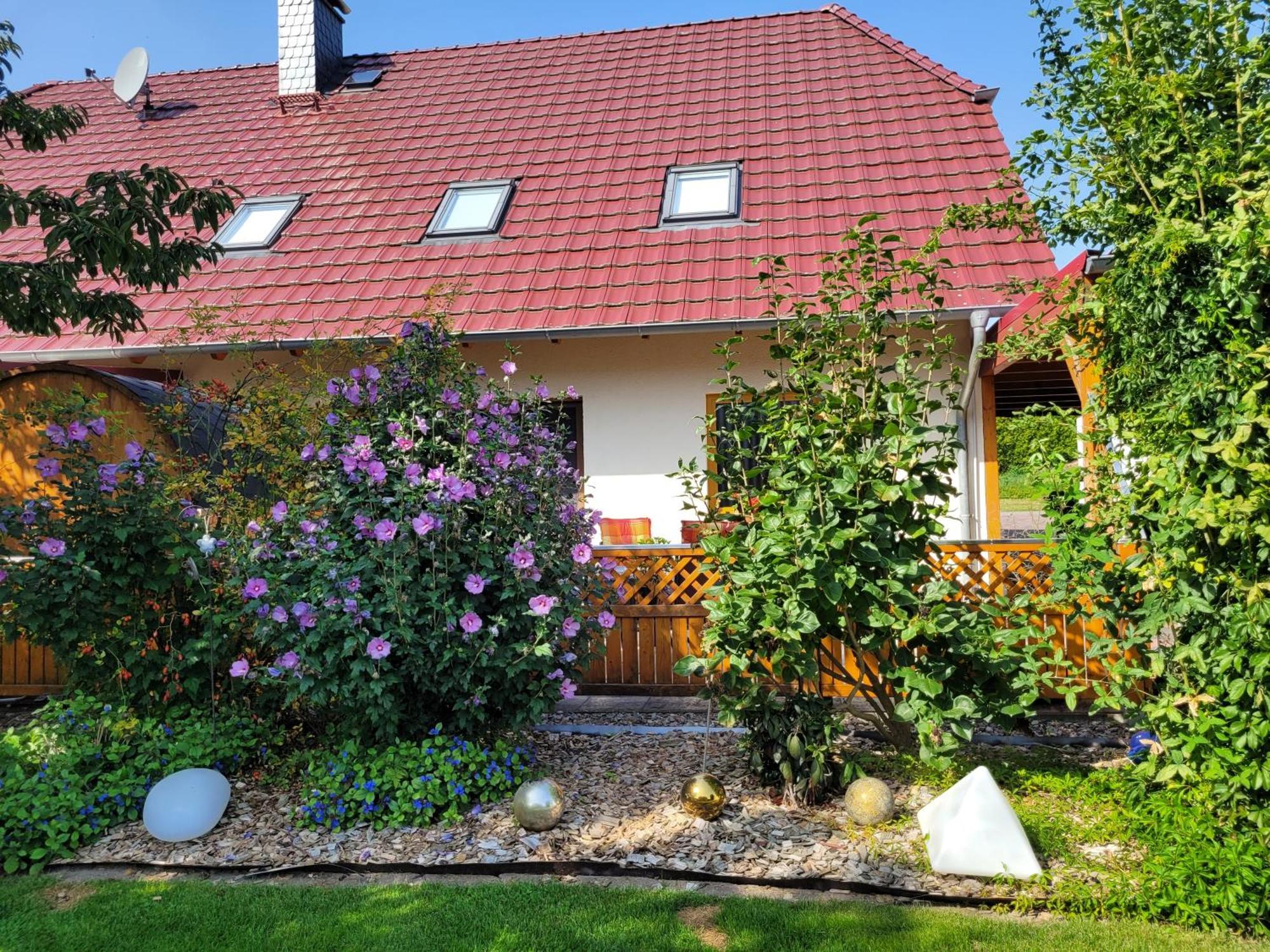 Ferienwohnung Halle Halle  Ngoại thất bức ảnh